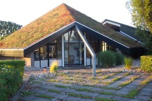 Groen dak RTL 4 tuinman Lodewijk Hoekstra 